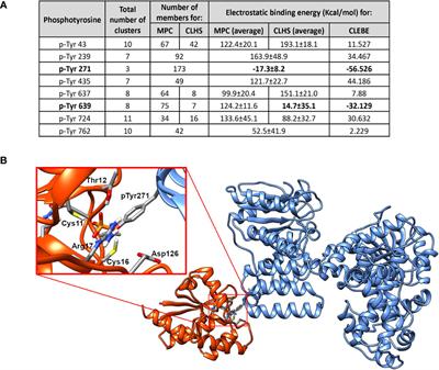 Characteristics of Mycobacterium tuberculosis PtpA interaction and activity on the alpha subunit of human mitochondrial trifunctional protein, a key enzyme of lipid metabolism